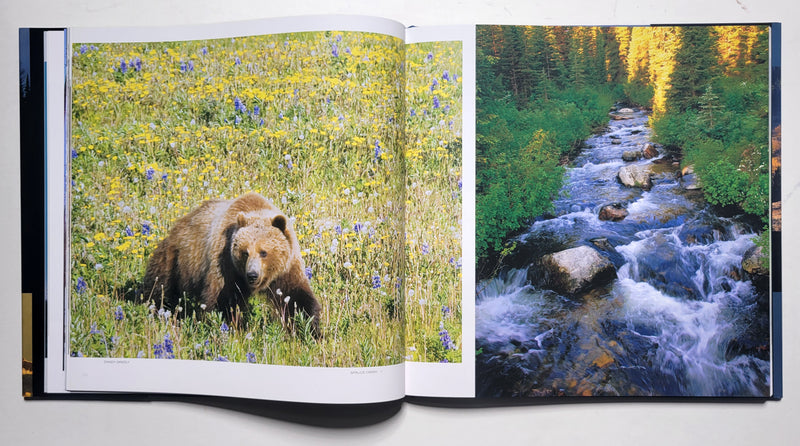 Visions of Elk Country: A Celebration of the Rockies in Word and Image