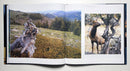 Visions of Elk Country: A Celebration of the Rockies in Word and Image