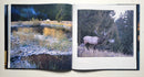 Visions of Elk Country: A Celebration of the Rockies in Word and Image