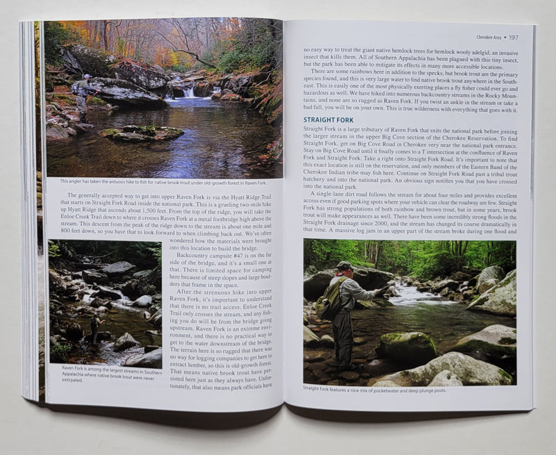 Fly Fishing Guide to Great Smoky Mountains National Park