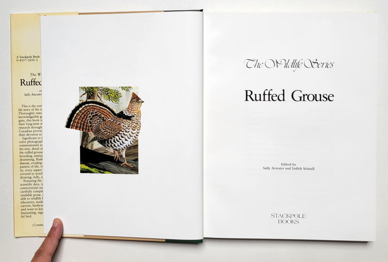 Ruffed Grouse (Wildlife Series)