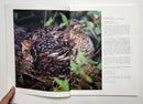 The Ruffed Grouse