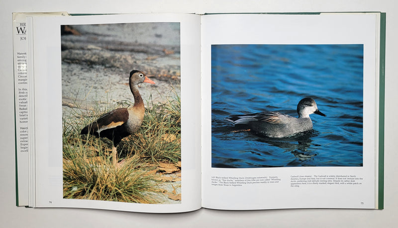 Birds of the World Waterfowl