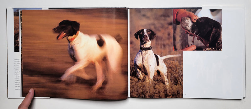 Hunting Dogs: A Photographic Tribute