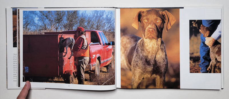 Hunting Dogs: A Photographic Tribute