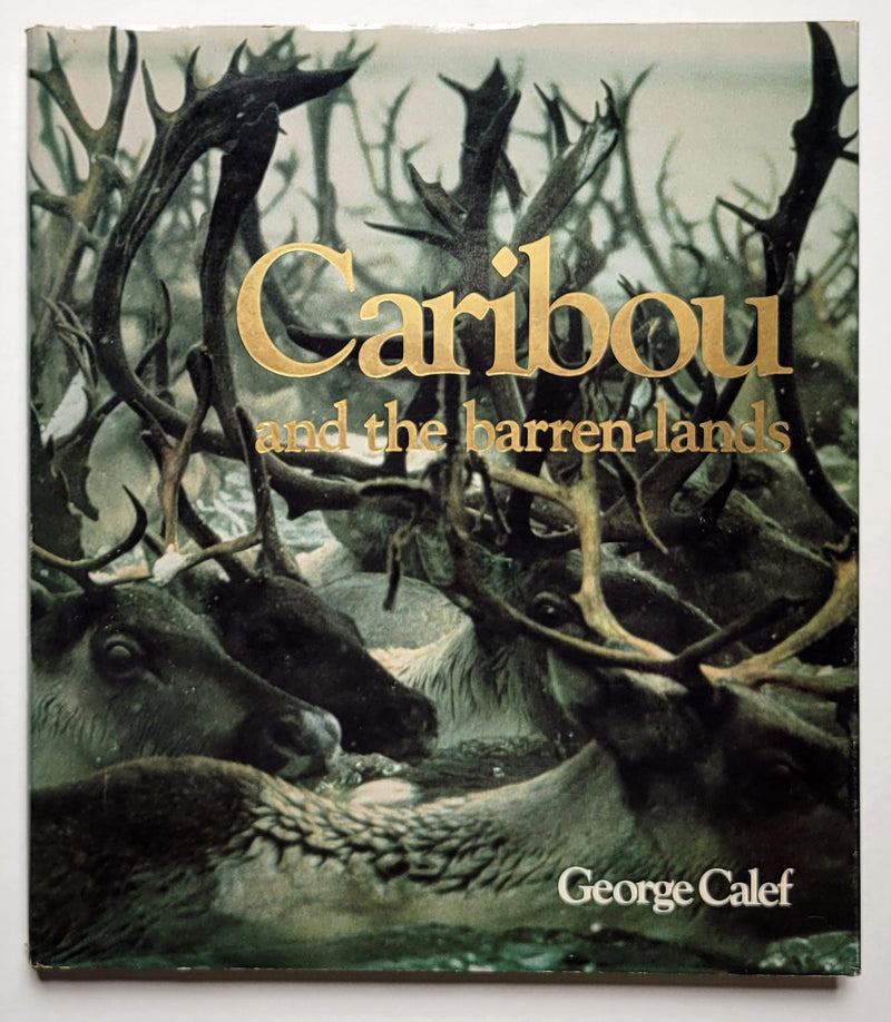 Caribou and the Barren-Lands