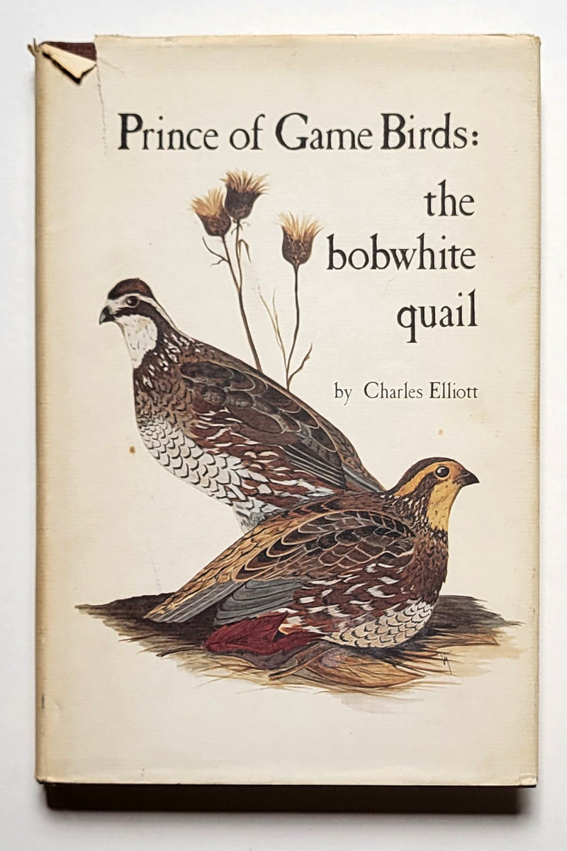 Prince of Game Birds: The Bobwhite Quail