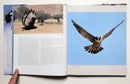 Birds in Flight: The Art and Science of How Birds Fly