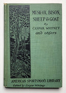 Musk-ox, Bison, Sheep & Goat