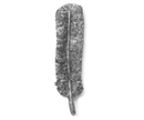 Tail Feather Pewter Pin