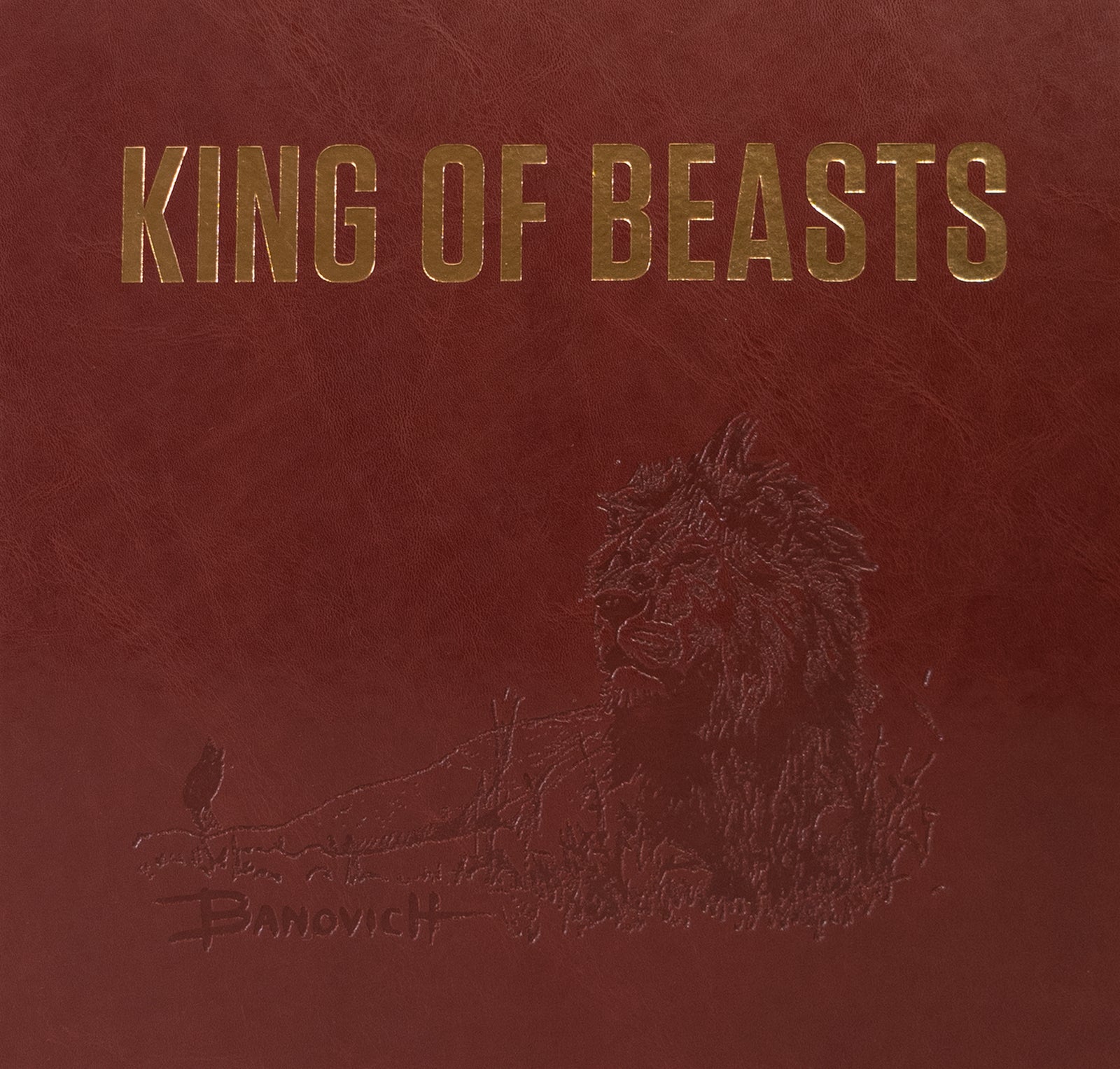 King Of Beasts: A Study Of The African Lion - Deluxe Edition - Signed ...